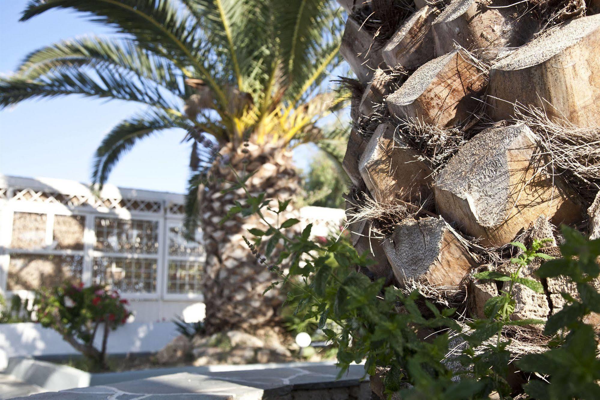Smaragdi Hotel Artemonas Exterior photo